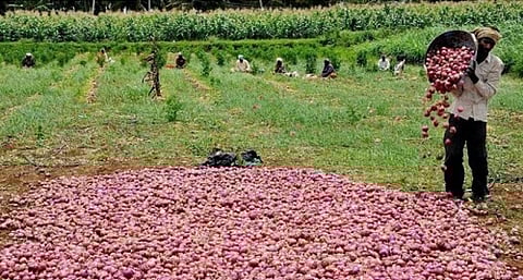 The fresh perishables must not be stored at production centres but moved to demand side while still young and firm to withstand rigours of transport. Credit: CoolingIndia