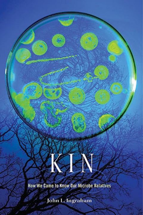 किन: हाउ वी केम टू नो आवर माइक्रोब्स रिलेटिव्स
जॉन एल इंग्राहम
हावर्ड यूनिवर्सिटी प्रेस
304 पृष्ठ | $29.95