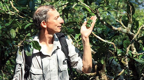 Author Jonathan Drori says public interest in plant stories that cross disciplines inspired him to write the book