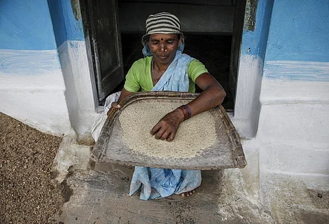 Kallibai of Dungariya village in Mandla district shows us sawa millet. Credit: Vikas Choudhury/CSE