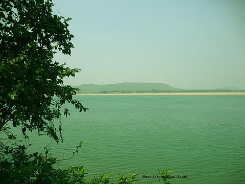 The forest department has carried out plantations in islands and river beds in Mahanadi near Cuttack that has affected the river’s morphology and hydraulic dynamics. Credit: Wikimedia Commons