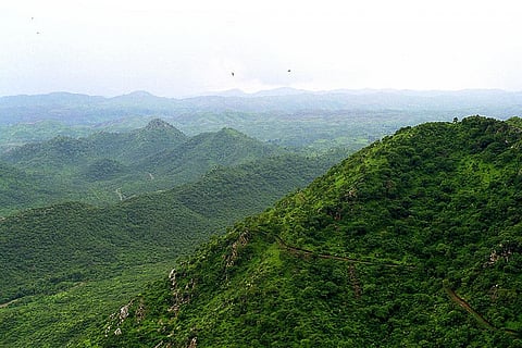 Delhi Ridge protects the citizens from heat, dust and other air pollutants. Credit: Wikimedia Commons