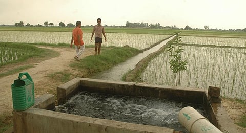 These irrigation project cover 39.07 million hectares in 28 states. Credit: Agnimirh Basu