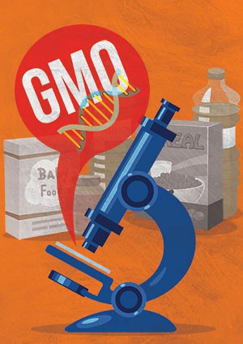 रितिका बोहरा