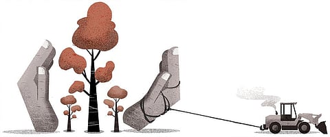 Illustration: Tarique Aziz