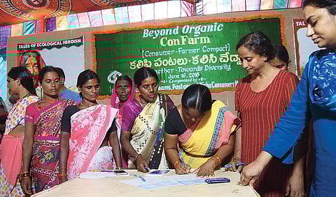 Women farmers and consumers sign a compact agreeing to provide organic grains in return for financial support (Photographs: Latha Jishnu)