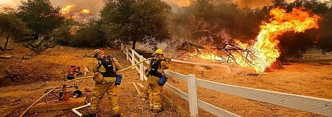 Credit: Daria Devyatkina / Flickr