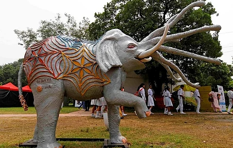 An art installation at the Gaj Mahotsav held in New Delhi by the Wildlife Trust of India. Credit: Vikas Choudhary