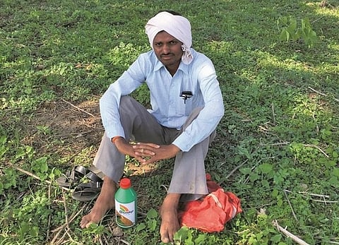 Efforts to ban this chemical, labelled carcinogenic, are on across the world. Credit: Vibha varshney/CSE