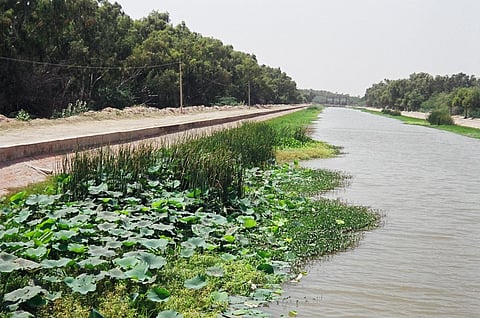 Growing gap in irrigation potential and usage major challenge