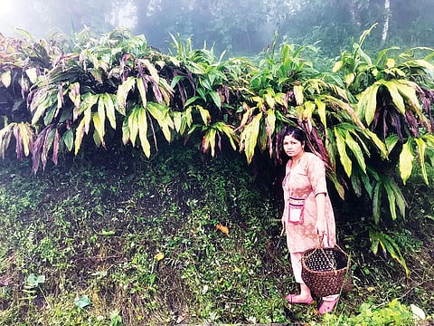Anitha Chhetri, a cardamom farmer in Sikkim's Hee Patal village. The exotic spice is a source of cash income to farmers in the mountainous state (Photographs: Nidhi Jamwal)
