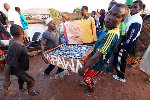 Lake Victoria sees high levels of illegal fishing carried out by local fisherman and traders. Shutterstock