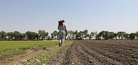 ‘Rationalising subsidies, improving infrastructure could revive agri-sector’