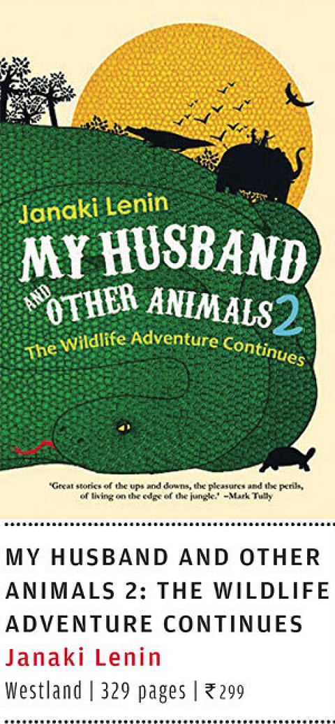 Bizarre, serious, jocular