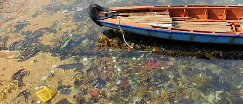 Credit: Getty Images