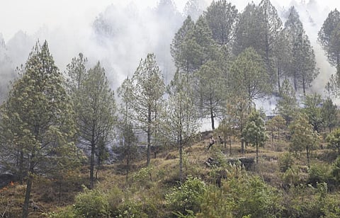 Forest fires in Uttarakhand: Absence of real-time air quality monitoring plagues Himalayas