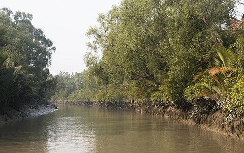 Maintaining ecosystem services is a key enabler in enhancing resilience and adaptive capacity Credit: Getty Images
