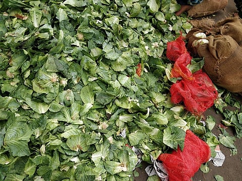 Reducing food waste is one way by which citizens can reduce Green House Gas emissions, says the IPCC Report      Credit: Getty Images