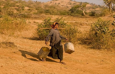 Activists say the rules do not give communities any say in decisions regarding plantations done under CAF. Credit: Agnimirh Basu