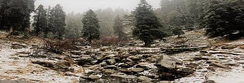 Snow, when it falls at the right time and in the right quantity, act as the much-awaited accompaniment to the rabi crop in Himachal Pradesh. Credit: Getty Images