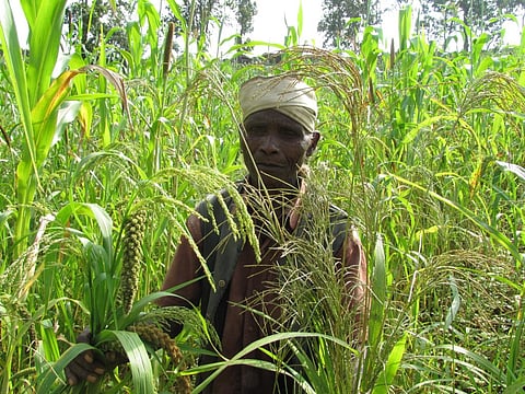 Credit: Naresh Biswas