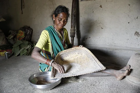 ग्राउंड रिपोर्ट: बीज उत्पादक किसान भी हो रहे हैं जलवायु परिवर्तन का शिकार