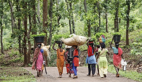 Credit: Vikas Choudhary