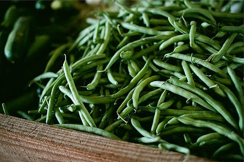 Annual plants like sembeans and peas flower only once a year. Credit: Pixabay