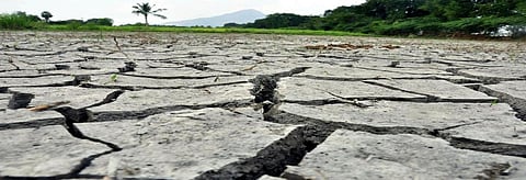 An official drought announcement is expected by month-end. Credit: Getty Images