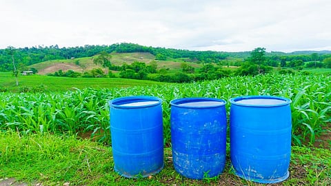 PGIMER in Chandigarh has also provided evidence that the chemical is harmful. Credit: Getty images
