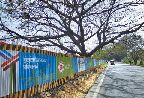 Mumbai's citizens have been fighting BMC and MMRC tooth and nail to save Aarey, the city's last green zone, from the proverbial axe (Photo: Gajanan Khergamker)