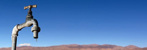 The study calculates drought resilience by taking into account the eco-system water use efficiency. Credit: Getty Images