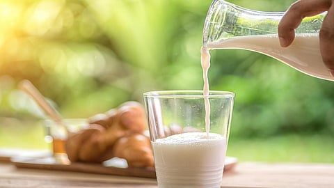 Milk proteins account for nearly 4 per cent of the milk components, and are categorised into two groups – casein, and whey protein. Credit: Getty Images