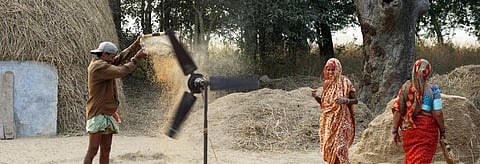 Although the evaluation was submitted in August 2018 to the ministry, it was not released in the public domain. Credit: Neha Sakhuja/CSE