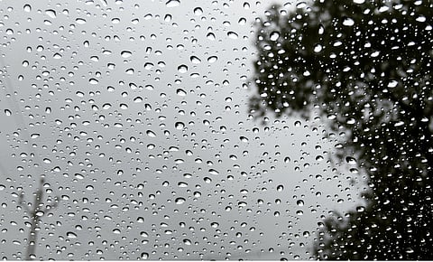 The idea is to recharge wells through rainwater harvesting. Credit:Pxhere