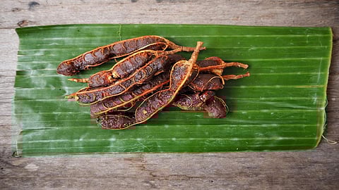 Ayurveda doctors have been prescribing tamarind seed powder for various ailments, including stomach infections and hypertension. Credit: Getty Images