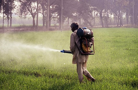 Credit: Amit Shanker/Cse