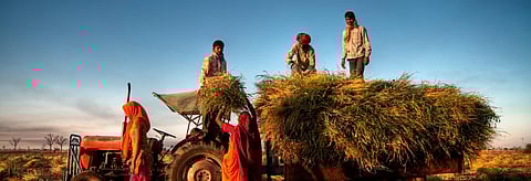 Farmers are in reality the victims of a flawed economic design. Credit: Getty Images