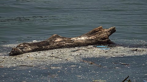 Picture for representation only; Typhoon Manghkut/Ompong in the Philippines in September this year disrupted the country's food supply for the upcoming months. Credit: Getty Images