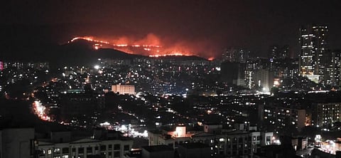Fire broke out in Mumbai's Aarey Colony on the evening of December 3. Credit: Twitter/ANI