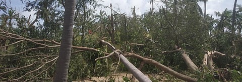 A file photo of Cyclone Gaja. Credit: Wikimedia Commons