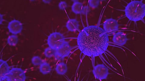 Credit: Getty Images