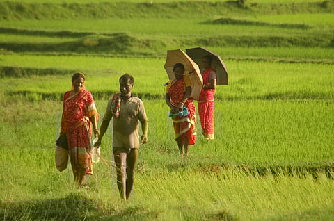 Credit: Agnimirh Basu