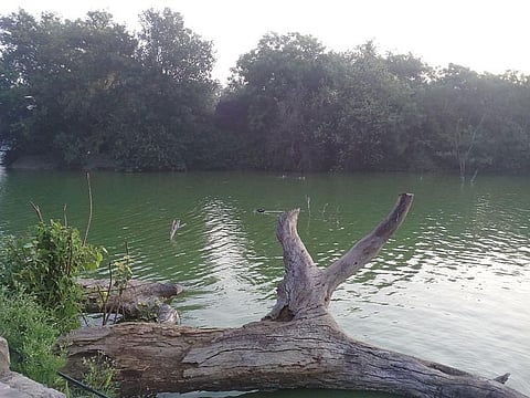 Credit: Wikimedia Commons