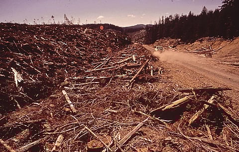 Credit: Wikimedia Commons