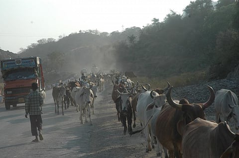 Credit: Samrat Mukharjee/CSE