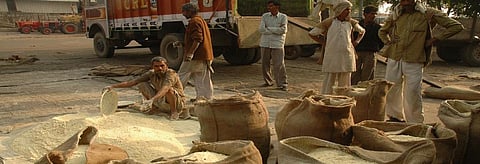 A 'Mandi' in Muzaffarnagar, Uttar Pradesh. Credit: Agnimirh Basu/CSE
