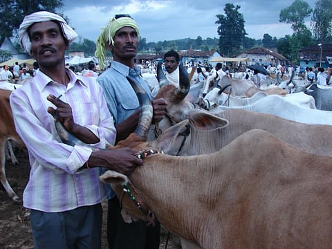 Credit: Kumar Sambhav Shrivastava