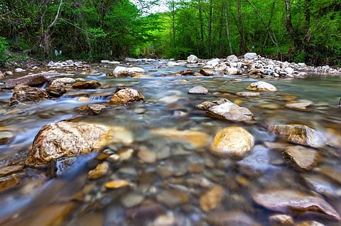 Study sheds light on functioning of global river-based ecosystems