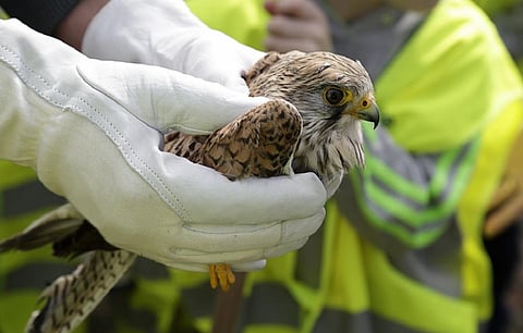 Representational Photo. Credit: Getty Images